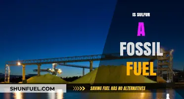 Is Sulfur a Fossil Fuel? Unraveling the Energy Source Mystery
