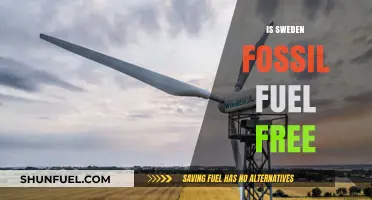 Is Sweden Fossil Fuel Free? Exploring Its Green Energy Transition