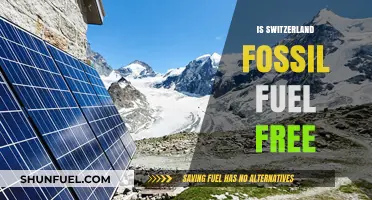 Is Switzerland Truly Fossil Fuel Free? Uncovering the Energy Reality