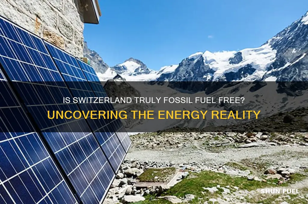 is switzerland fossil fuel free