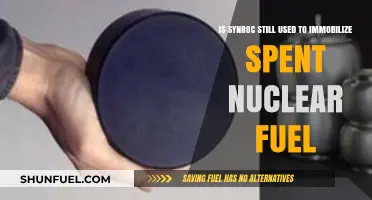 Synroc's Role in Immobilizing Spent Nuclear Fuel: Current Usage Explored