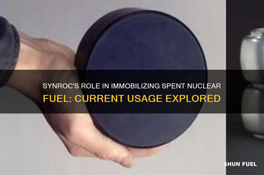 is synroc still used to immobilize spent nuclear fuel