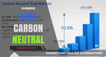 Synthetic Fuel: Carbon Neutral Solution or Environmental Myth?