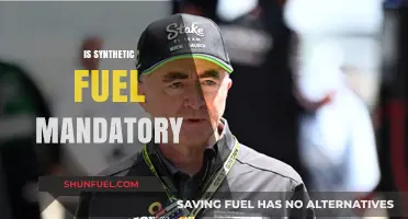Is Synthetic Fuel Mandatory? Exploring Its Role in Future Energy Policies