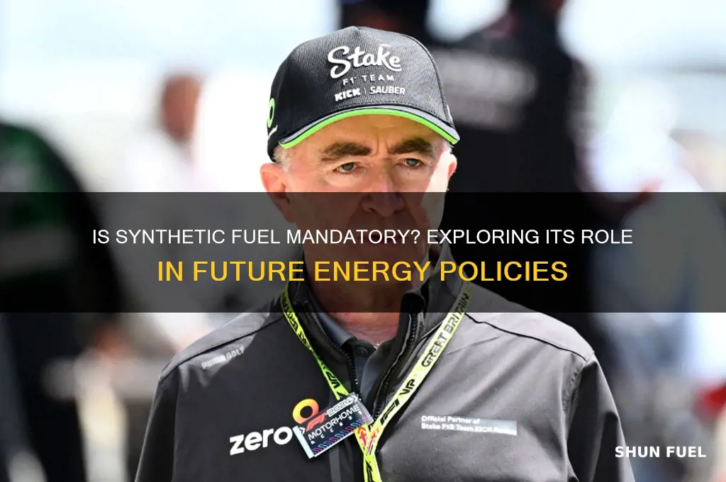 is synthetic fuel mandatory