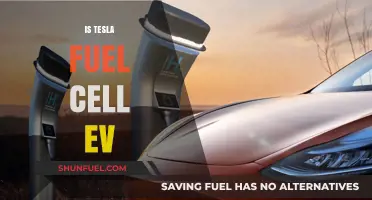 Is Tesla Developing Fuel Cell EVs? Exploring the Future of Electric Vehicles