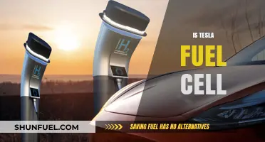 Is Tesla Fuel Cell Technology the Future of Sustainable Transportation?