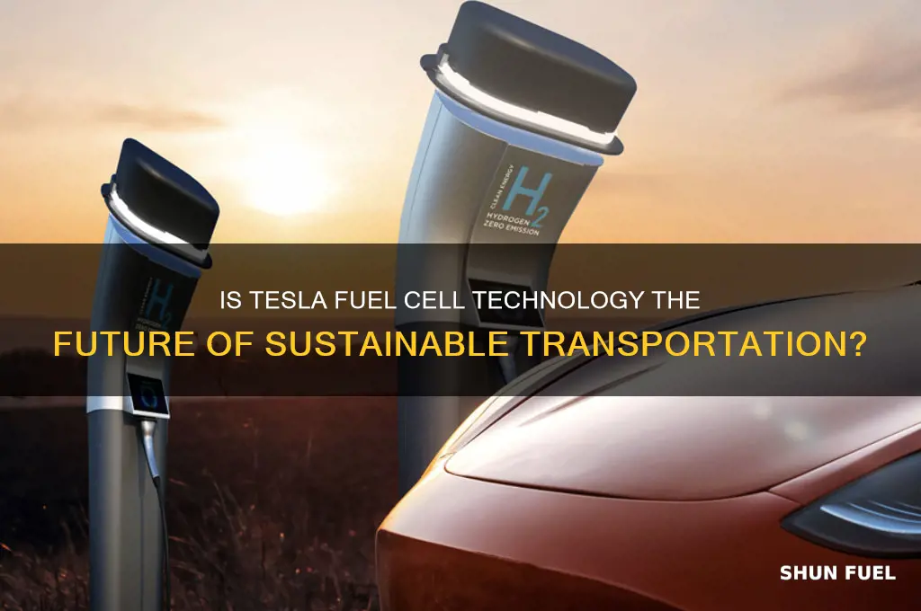 is tesla fuel cell