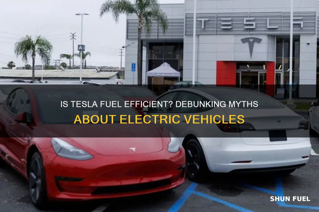 is tesla fuel efficient