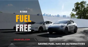 Is Tesla Fuel-Free? Debunking Myths About Electric Vehicles