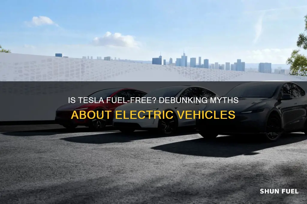 is tesla fuel free