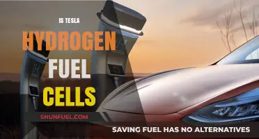 Tesla and Hydrogen Fuel Cells: Exploring the Future of Clean Energy