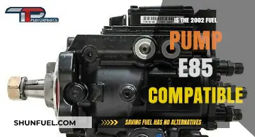 E85 Compatibility: Can the 2002 Fuel Pump Handle Ethanol Blends?