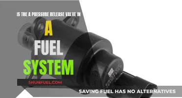 Fuel System Safety: Pressure Release Valves Explained