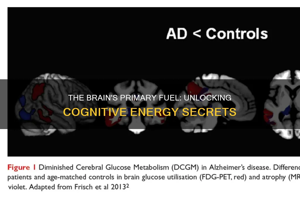 is the brains main fuel
