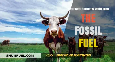 Cattle vs. Fossil Fuels: Which Industry Harms the Planet More?