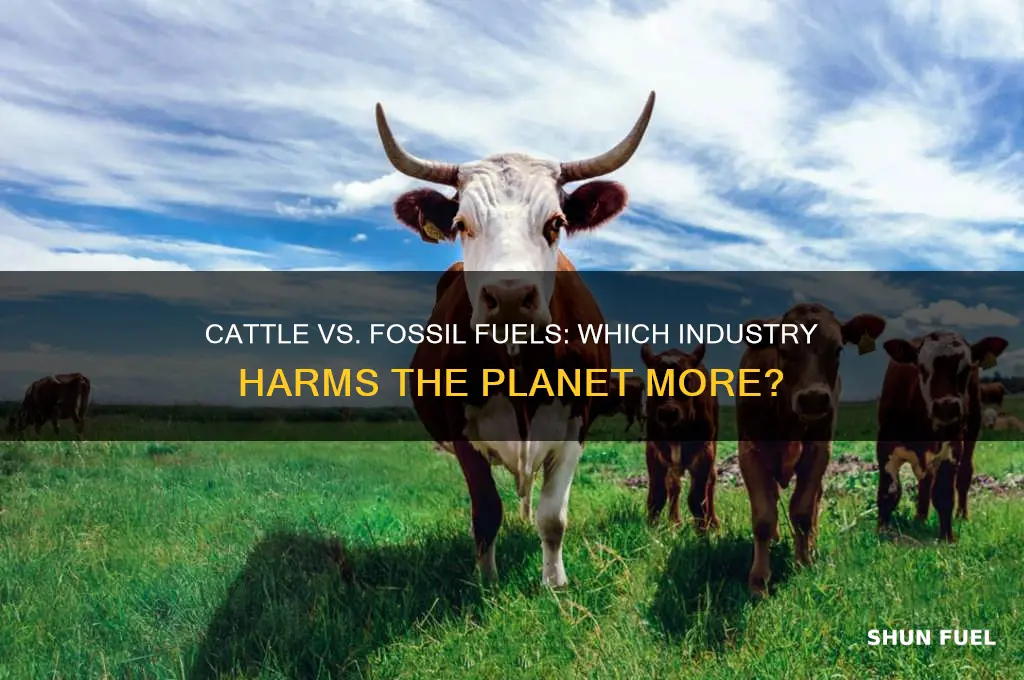 is the cattle industry worse than the fossil fuel