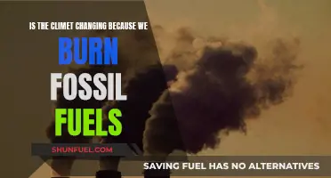 Fossil Fuels: Changing Climate, Changing Future?