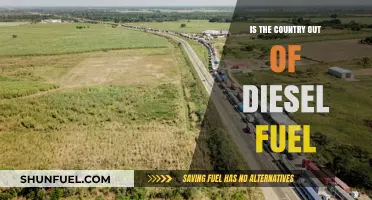 Diesel Crisis: Is the Country Running on Empty?