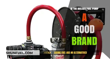 Dielses Fuel Pump Review: Is This Brand Worth Your Investment?