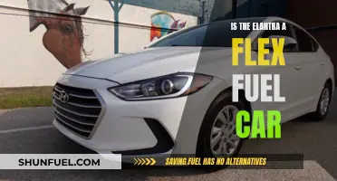 Flex Fuel and the Elantra: A Compatible Match?