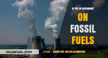 EU's Energy Dilemma: Fossil Fuel Dependence and the Path Forward