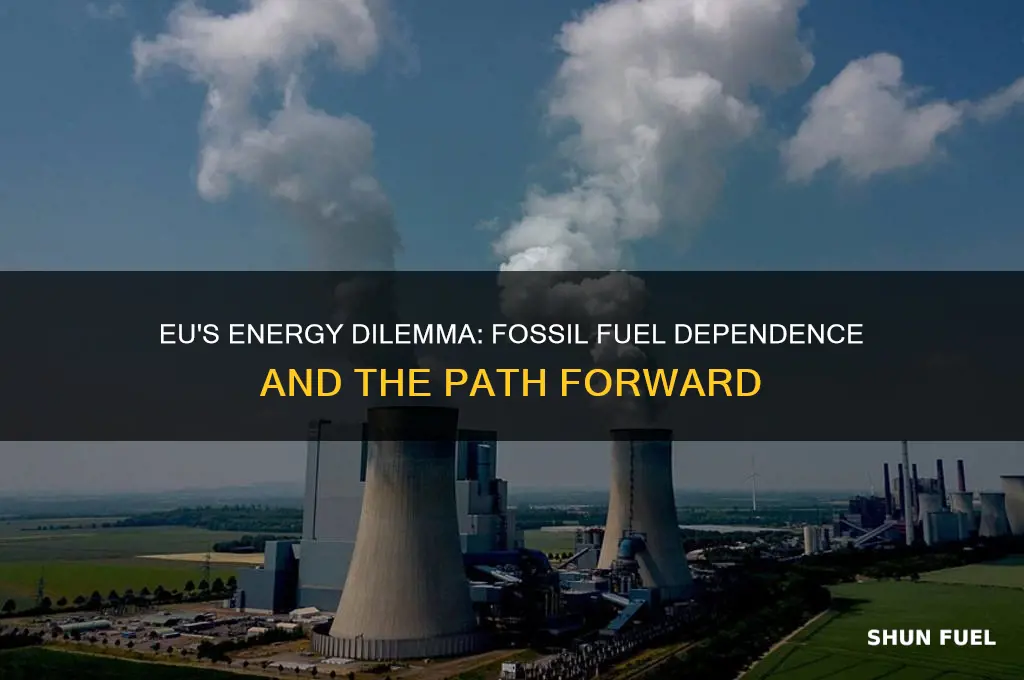 is the eu dependant on fossil fuels