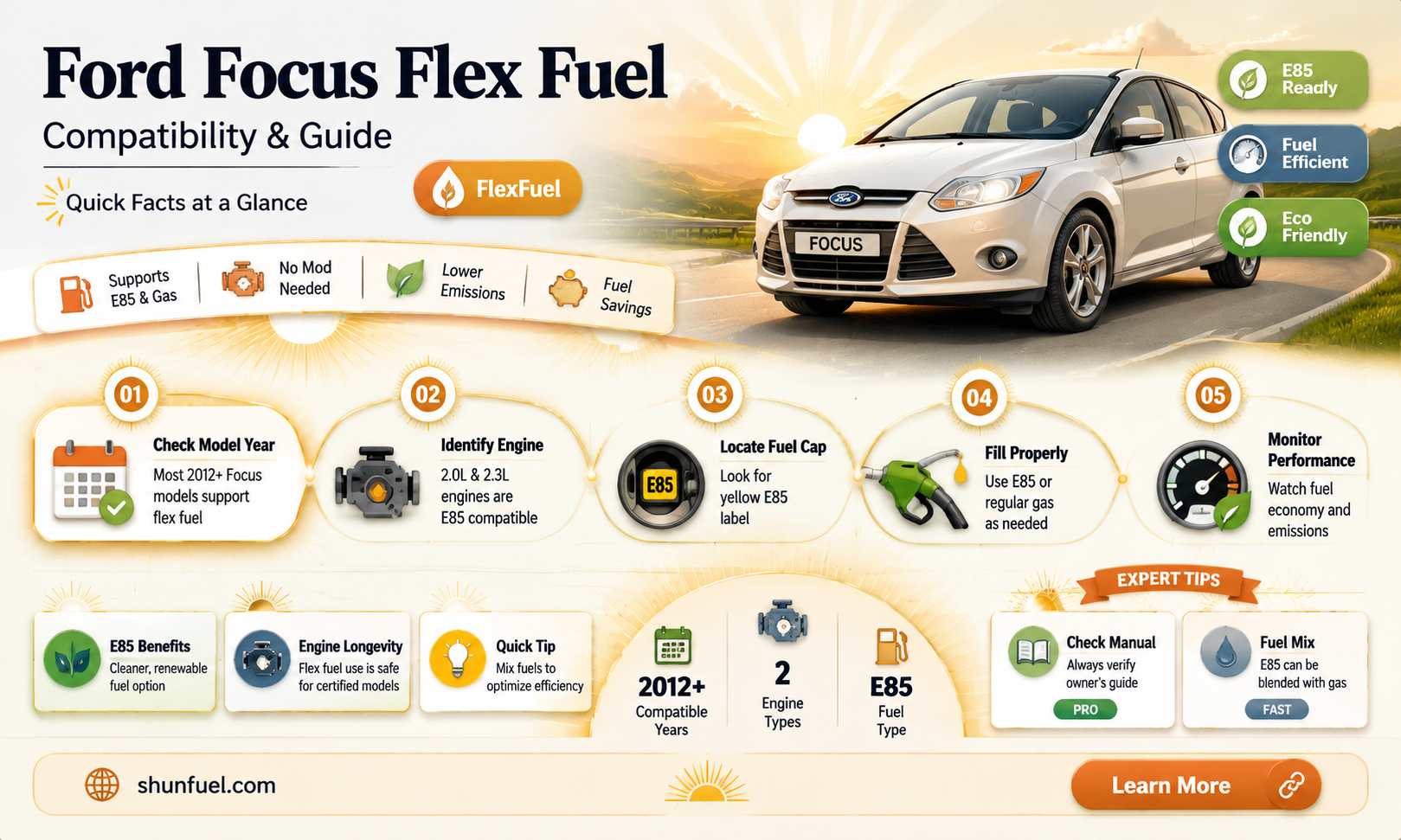 are ford focus flex fuel
