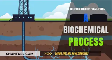 Fossil Fuel Formation: Unraveling the Biochemical Processes Behind Energy Sources