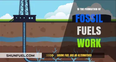 Understanding the Ancient Process of Fossil Fuel Formation and Its Workings