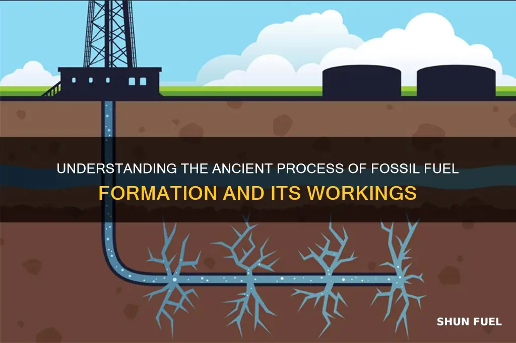 is the formation of fossil fuels work