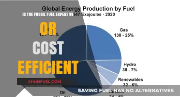 Fossil Fuels: Expensive Legacy or Cost-Efficient Energy Solution?
