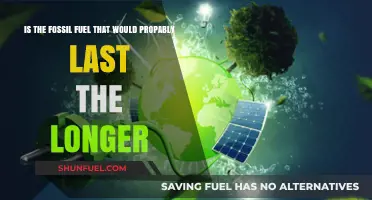 Which Fossil Fuel Has the Longest Remaining Lifespan? An Analysis