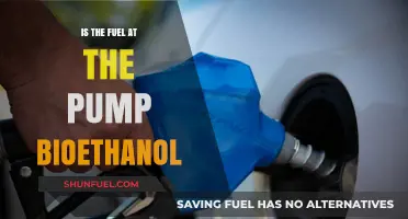 Is Your Pump Fuel Bioethanol? Uncovering the Truth at Gas Stations