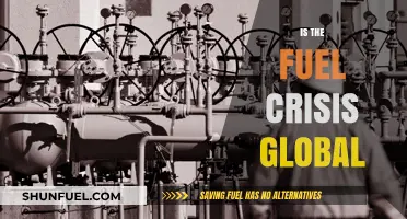 Global Fuel Crisis: A Worldwide Challenge or Regional Struggle?