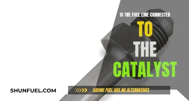 Fuel Line and Catalyst: What's the Connection?