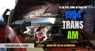 Where is the Fuel Pump Located in a 1984 Trans Am?