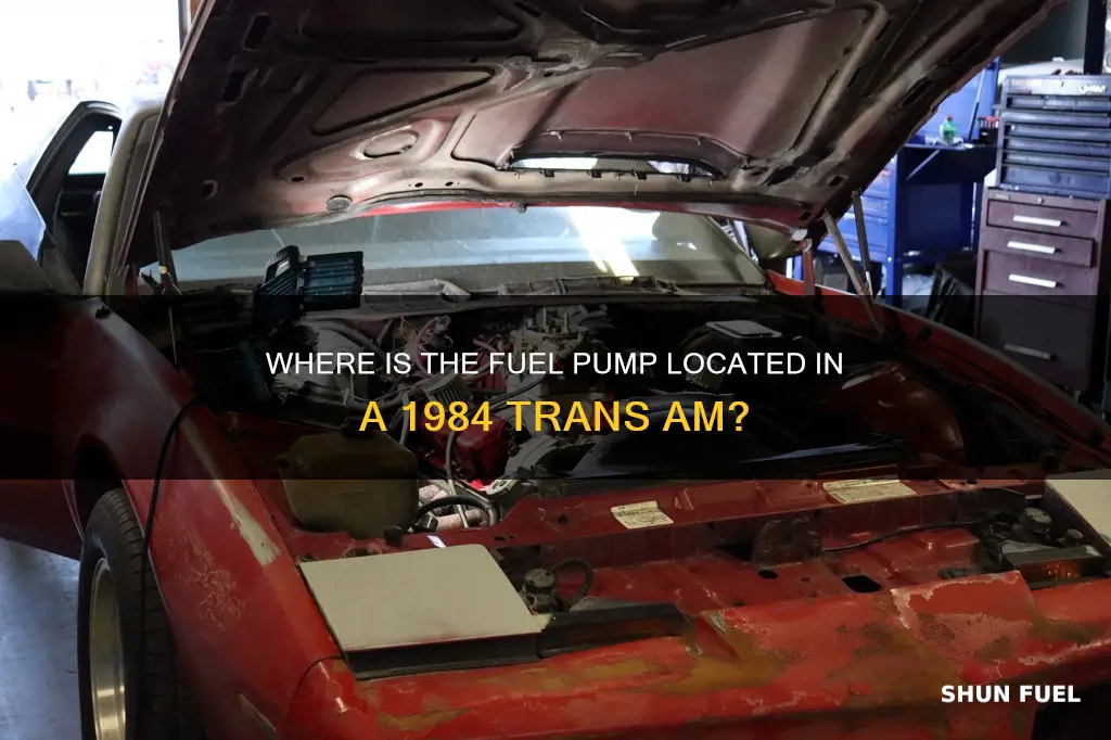 is the fuel pump in tank for 1984 trans am