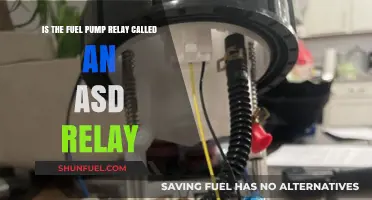 Is the Fuel Pump Relay the Same as an ASD Relay?