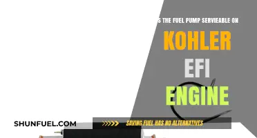 Can You Service the Fuel Pump on a Kohler EFI Engine?