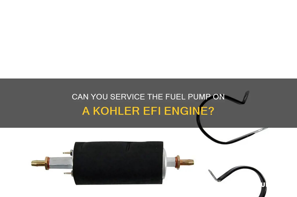 is the fuel pump servieable on kohler efi engine