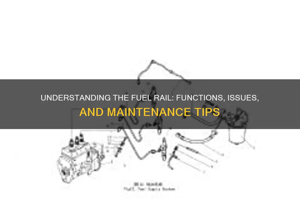 is the fuel rail