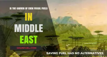 Garden of Eden's Legacy: Fossil Fuels in the Middle East?