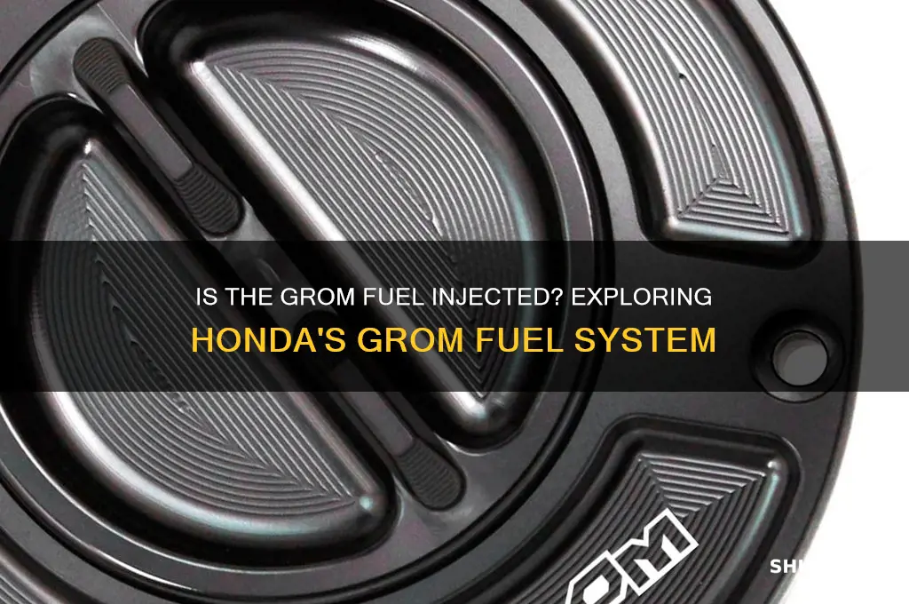 is the grom fuel injected