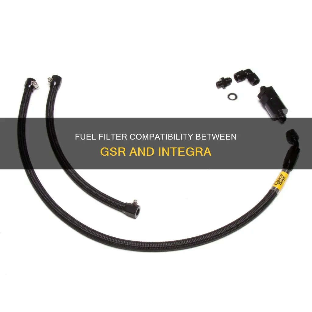 is the gsr fuel filter the same as the integra