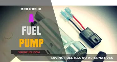 Is the Heart a Fuel Pump? Unraveling Cardiac Function Myths