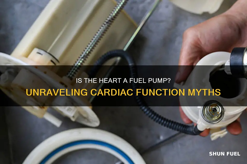 is the heart like a fuel pump