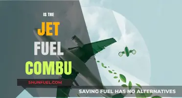 Is Jet Fuel Combustion Sustainable for Future Aviation?