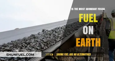 Earth's Dominant Energy Source: Exploring the Abundance of Coal