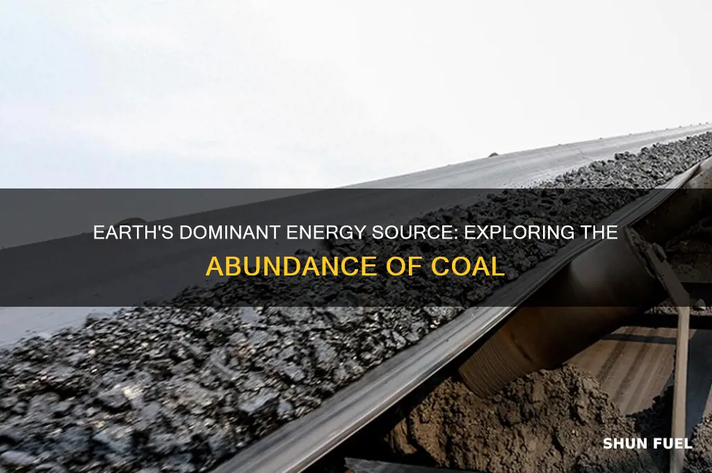 is the most abundant fossil fuel on earth